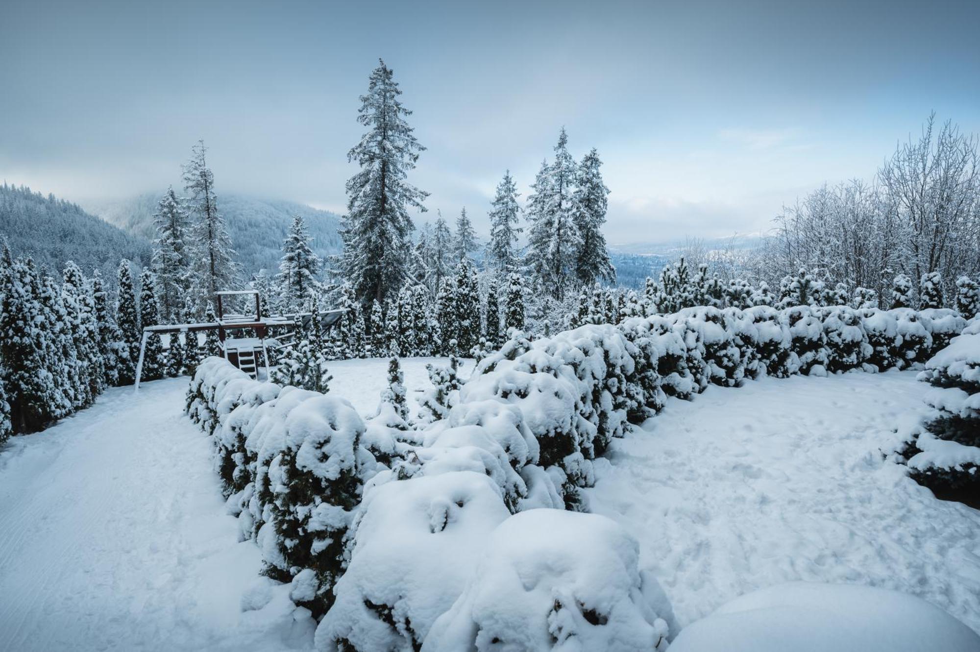 Visitzakopane - Janosik Apartment מראה חיצוני תמונה