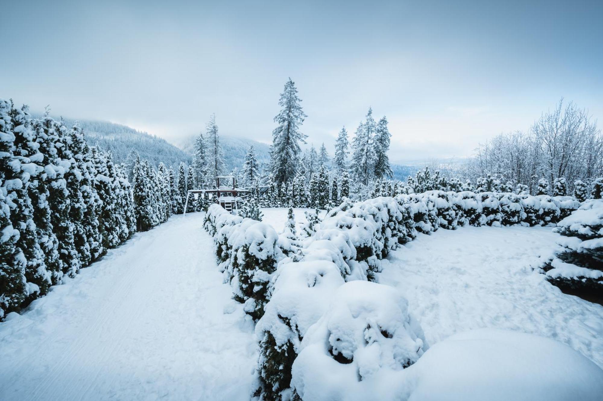 Visitzakopane - Janosik Apartment מראה חיצוני תמונה
